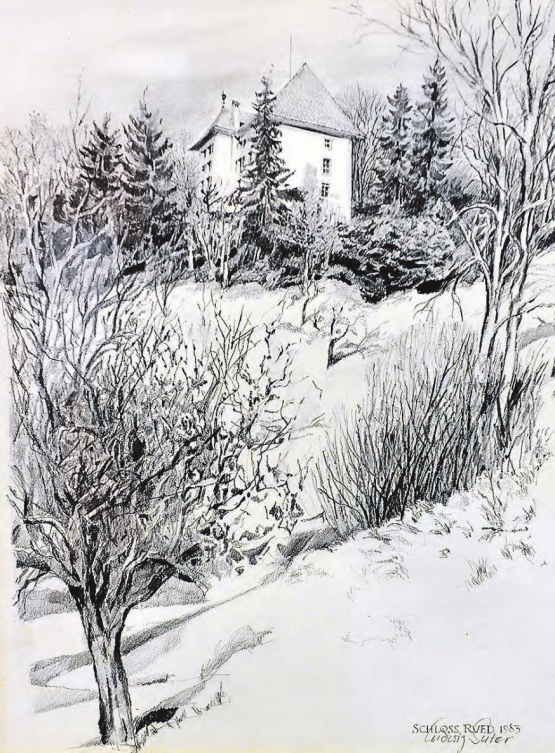 Damals noch in Schwarz-Weiss: Das Schloss Rued als Neujahrsbild auf der Frontseite des Wynentaler Blattes im Jahr 1983.