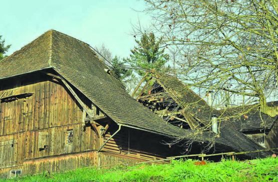 Einst der Stolz der Schlossbauernfamilien: Heute klafft eine grosse Lücke mitten im Dach der Schlossscheune. (Bilder: st.)