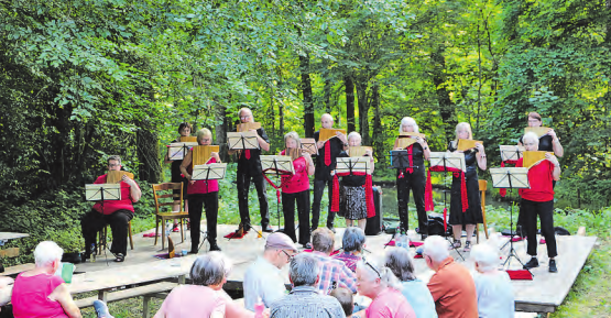 Das Ensemble Panelodie bot dem Publikum mit seiner musikalischen Darbietung eine Auszeit vom Alltagsstress. (Bild: jaf.)