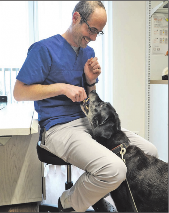 Ein Gudeli zur rechten Zeit lässt Tierarzt und Labradordame Miri Freunde werden.