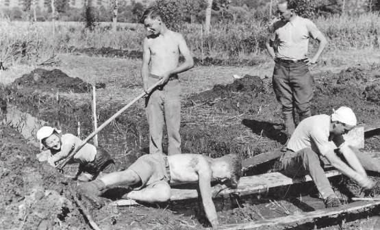 Ausgrabungsszene: Verena Gessner (links), Erich Bosch (in der Mitte stehend). Martin Hürlimann (liegend) und Ferdinand Lehmann (rechts, stehend) (Bild:zVg)