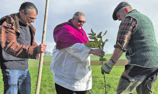 Bietet den Benjamin-Böen Paroli: Eine junge Edelkastanie für den Vatikanstaat, gepflanzt von Propst Harald Eichhorn und Förster Robi Suter, sekundiert von Poesiesommer-Leiter Ulrich Suter. (Bild: Hansruedi Zeder)