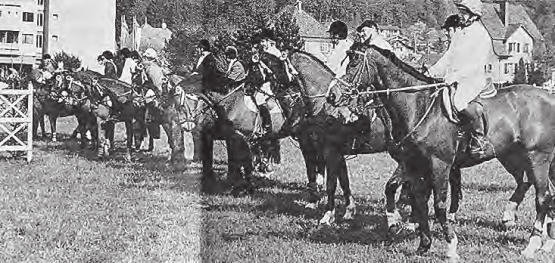 Rund 650 Starts vermittelten schönen Pferdesport: Das in der Abendsonne von hinten «aufgerollte» Feld startet zum Preis der Pferdefreunde Wynental vom Freitagabend. (Bild: bst.)