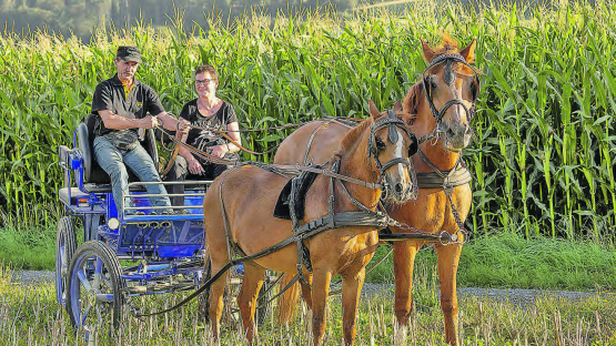 Franz Vogt unterwegs mit Begleitung. Die Tiere bereiten dem ehemaligen Grossrat aus Leimbach täglich viel Freude. (Bilder: Dominique Rubin)