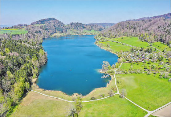 Der Türlersee ist ein schönes Wanderziel. (Bild: Adrian Michael, wikimedia)