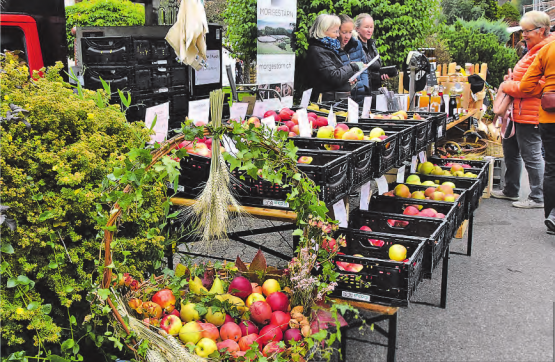 Äpfel, wohin das Auge reicht: Die zum Teil auch alten Sorten waren übersichtlich beschriftet. (Bilder: st.)