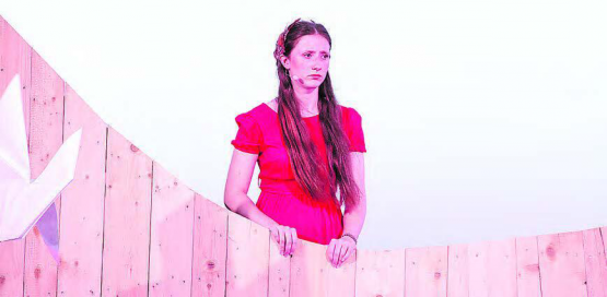 Das «Vogellisi» hat in diesem Jahr 8000 Besucherinnen und Besucher begeistert. Grund genug 2025 zurückzukehren. (Bild: rms.)