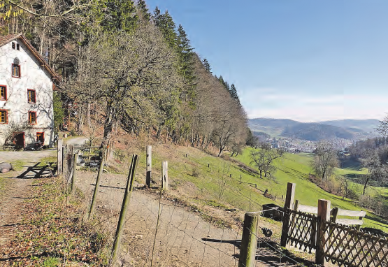 Mit dem Neubau der Sanierungsleitung «Tüelen» werden drei Liegenschaften (Parz 692, 1277 und 1825), die sich ausserhalb des Baugebietes befinden, an das Abwassernetz der Gemeinde Unterkulm angeschlossen. (Bild: zVg.)