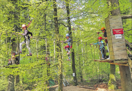 Für Jung und Alt: Seit 14 Jahren gibt es den Waldseilgarten auf dem Rütihof, der jährlich mehrere Tausend Besucher zählt. (Bilder: ran)