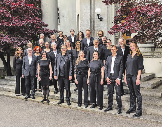 Die Zürcher Vokalisten treten in der reformierten Kirche in Menziken auf. (Bild: zVg.)