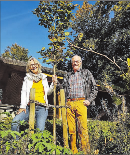 Eine Linde beim Waldhaus: Eveline und Emil Huber spenden die Anpflanzung einer prächtigen Linde. (Bild: zVg.)