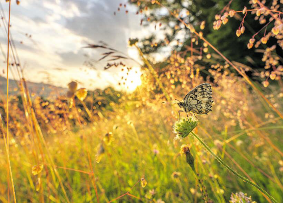 Copyright: Silvan Kyburz