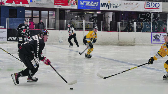 Sven Wyss erzielte den zweiten Treffer für die Red Lions, konnte aber die Heimniederlage auch nicht verhindern. (Bild: Roland Jaus)