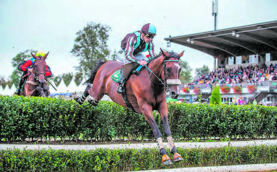 Reitsport hautnah erleben: am 8. September finden in Aarau der 76. Grosser Preis der Schweiz und der 16. Herbst Grand Prix Kanton Aargau statt. (Bild: zVg.)