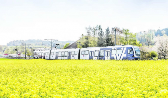 Wynental- und Suhrentalbahn: eine der pünktlichsten Bahnen der Schweiz. (Bild: AVA.)