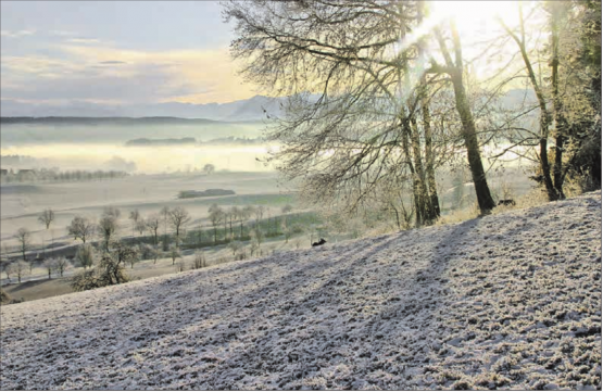 Das Kalenderbild für Januar 2020 zeigt die wunderschöne Landschaft im Michelsamt. (Bild: Ruedi Bättig/zVg.)