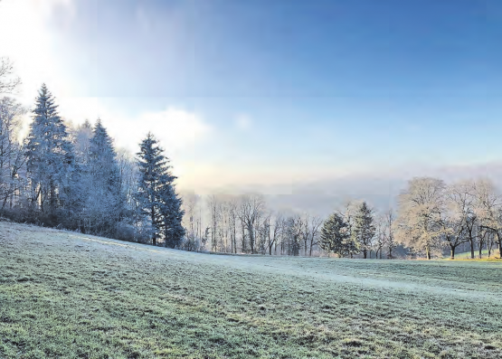 Winterstimmung ohne Schnee – wo das wohl sein mag? (Bilder: zVg.)