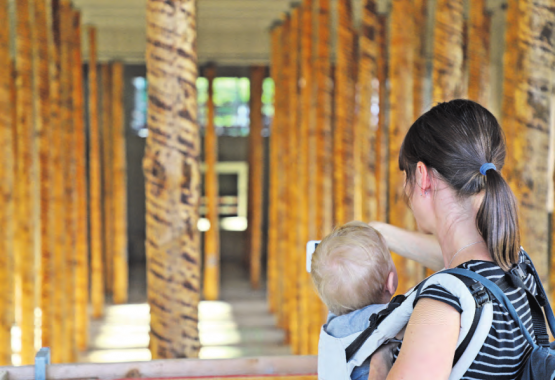 «Meine Steuern, dein Schulhaus», könnte die Bildlegende für das geschossene Handy-Foto lauten.