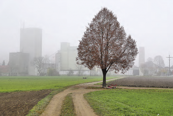 Grüne Wiese? Ballungsraum? Werkhallen-Standort? Erst der Richtplanentscheid des Grossen Rates und die später einzuleitende Teilrevision «Hegmatte» werden darüber entscheiden, wie sich Schöftland hier entwickelt. (Bild: Remo Conoci)