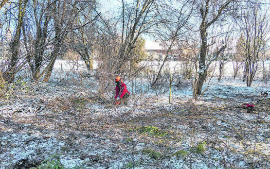 Die Rodungsarbeiten für das Aufwertungsprojekt haben mittlerweile begonnen. (Bild: Heinz Urben)