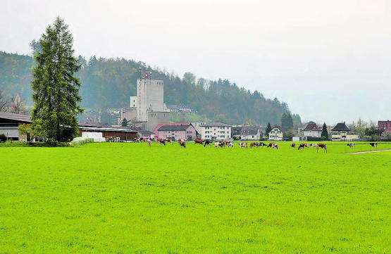 Resultate werden im Frühsommer 2021 erwartet: Der Bericht der Zürcher Denkmalwerkstatt hat Einfluss auf laufende Einwendungen und schliesslich auf das weitere Vorgehen im Hegmatte- und Mühleareal. (Bild: rc.)