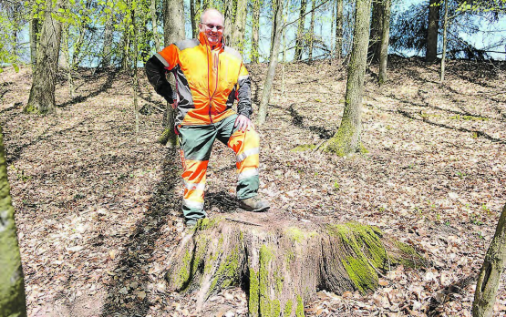 «Ich kenne die Bäume hier ganz genau»: Willi König an dem Ort im Müheler Wald, wo er 1984 als Lehrling Bäume gerodet und neu angepflanzt hat. (Bild: Kaspar Flückiger)