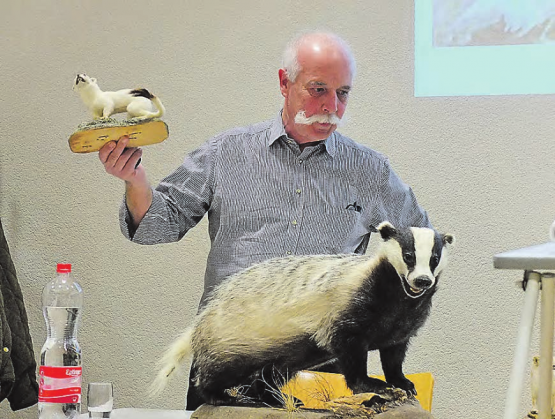 Referent Rolf Suter: Ins Zentrum seines interessanten Vortrages stellte er den Meister Grimbart, also den Dachs. (Bilder: zVg.)
