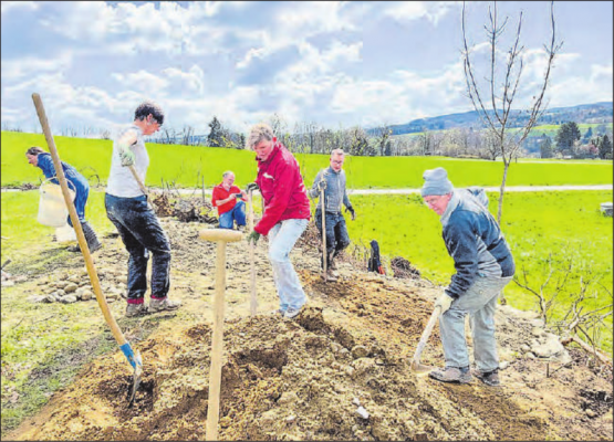 Gemeinsam für die Insektenwelt. Mitglieder des WWF Zürich, dem Naturschutzverein Menziken-Burg, Jonas Wassmann Gartenbau aus Burg und der Familie Weber bauen beim Trolerhof eine Sandlinse. (Bild: zVg.)