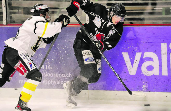 Eishockey auf hohem 1.-Liga-Niveau: Reinachs Dario Arnold (in Schwarz) kämpft gegen den Wetziker Thomas Büsser – die Gäste setzten sich jedoch bis zuletzt durch. (Bild: Remo Conoci)