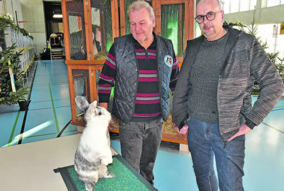 Der Schöftler Thomas Buchschacher (r.) schätzt seine friedliebenden Kaninchen der Rasse «Röhn», links Präsident und Organisator der 15. Kleintierschau, Markus Rey, Reitnau. (Bilder: aw.)