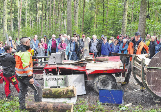 An der traditionellen Waldbereisung zeigte das Team vom Forstbetrieb aargauSüd, wie ein Ster Holz hergestellt wird. (Bilder: hg.)