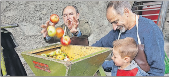 Für die ganze Familie: Hinter den Mosttagen und dem Herbstmarkt stehen die Stiftung KLAS und das Museum Aargau. (Bild: zVg.)