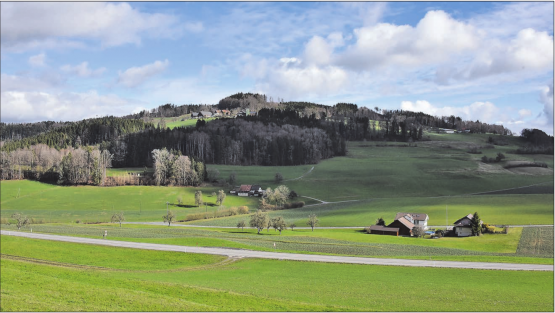 Auf dem Stierenberg sollen laut Richtplan des Kantons Luzern drei Windräder gebaut werden. (Bild: Martin Sommerhalder)