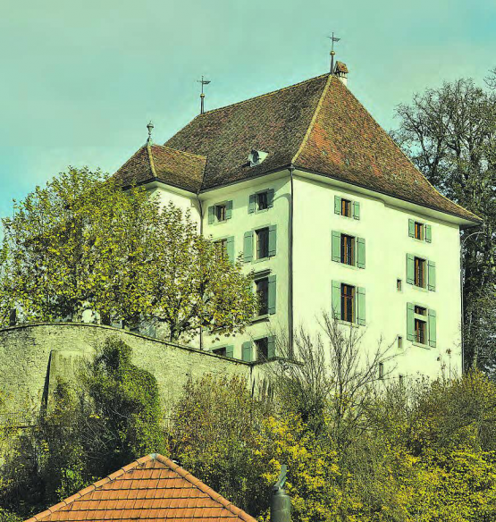 Aus der ganzen Welt ist dies jetzt möglich: Ein Blick auf das Schloss Rued, dank neu installierter Webcam, unter www.schlossrued.ch. (Bild: st.)