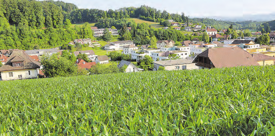 Blick über den Bodenacker: Hier sollen elf Doppeleinfamilienhäuser entstehen, eine Beschwerde steht aber noch aus. (Archivbild: rc.)