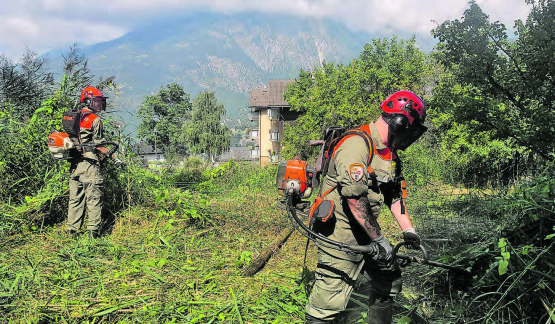 Die Kadermitglieder freuten sich, wieder einmal selbst im Feldeinsatz zu stehen. (Bild: zVg.)