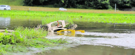 Unwetter und starke Regenfälle führten zu Hochwasser: Es entstanden nicht nur Gebäudeschäden, auch landwirtschaftliche Kulturen waren betroffen. (Bild: rc.)