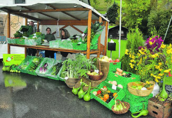 Farbenvielfalt unter grauem Himmel: Gemüse, Früchte und Obst sind die wertvollen Gaben des Herbstes. Hier kommen sie besonders schön zur Geltung.
