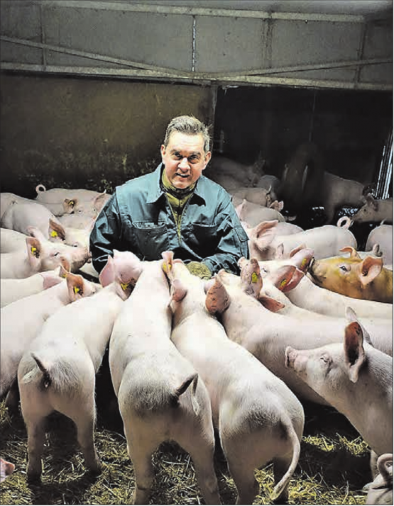 Vom Glück umzingelt: Martin Wandeler umringt von seinen neugierigen Borstentieren, in seinem Betrieb in Gunzwil. (Bilder: René Fuchs)