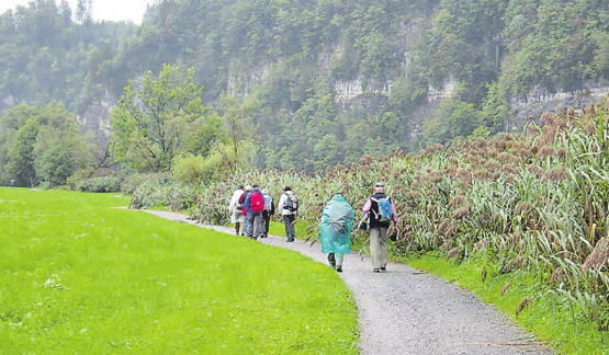 Männerriege Beinwil am See: Wanderung der Sarner Aa entlang nach Alpnach. (Bild: zVg.)