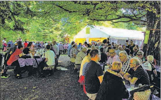 Gemütliche Stunden abseits vom Alltag: Waldfest der Musikgesellschaft Gontenschwil am 10./11. August im Brünnelichrüüz. (Bild: zVg.)