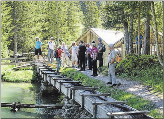 Eine mit Wasser betriebene alte Sägerei machte den Seengern bewusst, dass mit Wasserkraft nicht nur Schmiedehämmer, sondern auch Sägeblätter bewegt werden können. (Bild: zVg.)