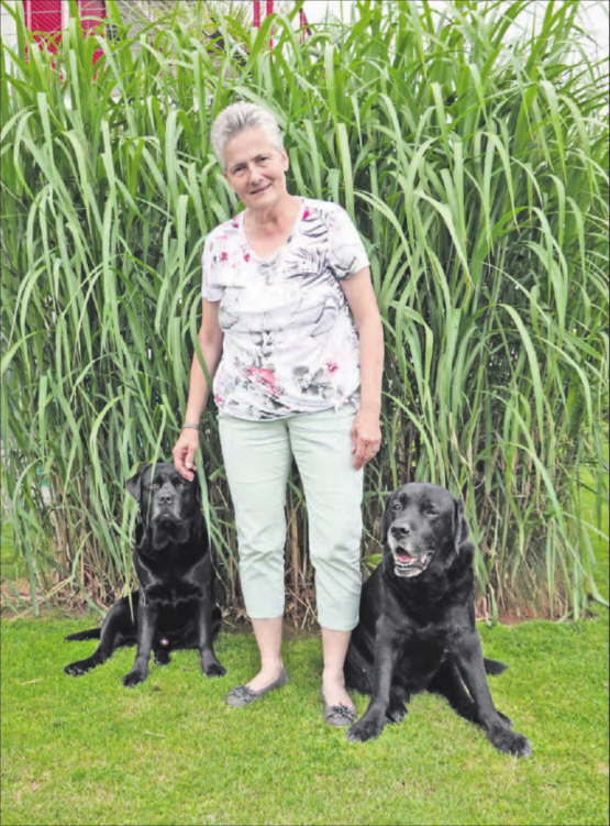 Sie blickt im Vorfeld der Ausstellung «In der Lehre/an der Uni – damals und heute» zurück: alt Frau Gemeindeammann Annette Heuberger mit ihren beiden Hunden Kim und Enzo. (Bild: René Fuchs)