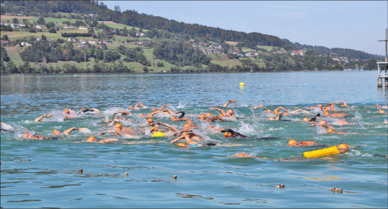 Beeindruckend: Wenn hunderte Menschen über den Hallwilersee schwimmen, braucht es ein Sicherheitskonzept, damit jeder und jede gesund ans Ziel gelangt. (Bilder: grh)