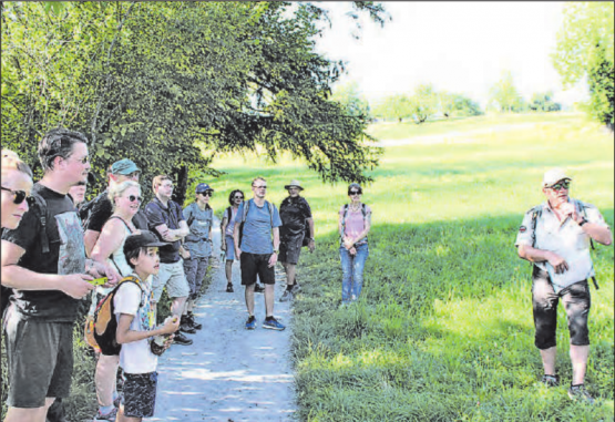 Viel Erfahrung: Hallwilersee-Ranger Peter Wyss zeigte die Entwicklungen der Pflanzenwelt. (Bilder: grh)