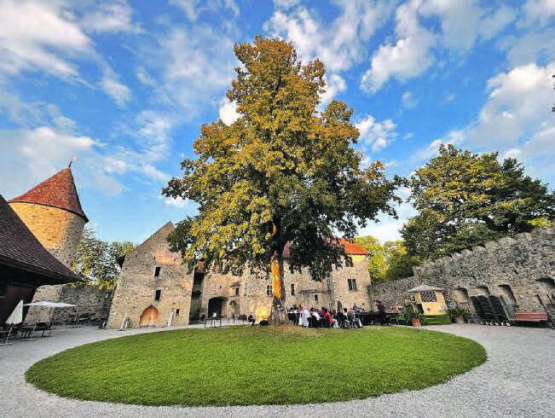 Blick in den Schlosshof mit noch kleiner Bestuhlung. Rund 60 Personen besuchten den Eröffnungsanlass, während der Oper werden es jeweils 120 sein.