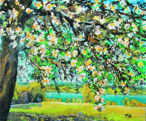 Kirschblütenpracht beim Bumähögg über Chalberweid, Beinwil am See
Gemäldebild und Text von Alberto Romer, Beinwil am See