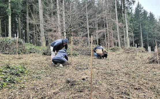Den eigenen Baum besuchen, das ist ein Familienausflug, der über viele Jahre immer wieder Freude machen wird. (Bild: zVg.)