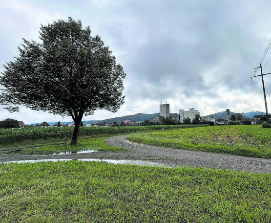 Geht es nach dem RVS soll die Hegmatte nun doch zur Überbauung freigehalten werden. Der Hegmatte-Verein nimmt das mit Erstaunen zur Kenntnis und erinnert an den mehrfach geäusserten Volkswillen. (Bild: rc.)