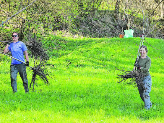 Trotz harter Arbeit, das Pflanzen von Bäumen macht Spass. (Bild: dr.)